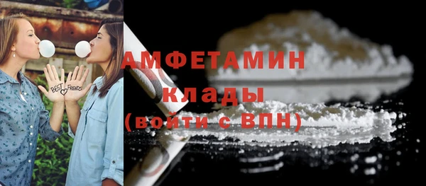 твердый Сатка