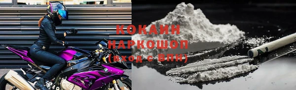 твердый Сатка
