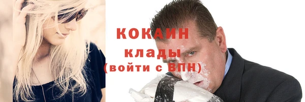 твердый Сатка