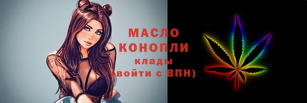 твердый Сатка