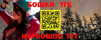 тгк Гай