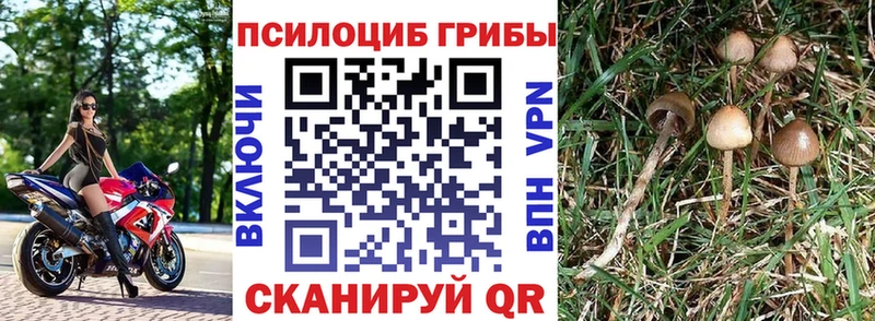 Галлюциногенные грибы мицелий  сайты даркнета Telegram  Усть-Лабинск 