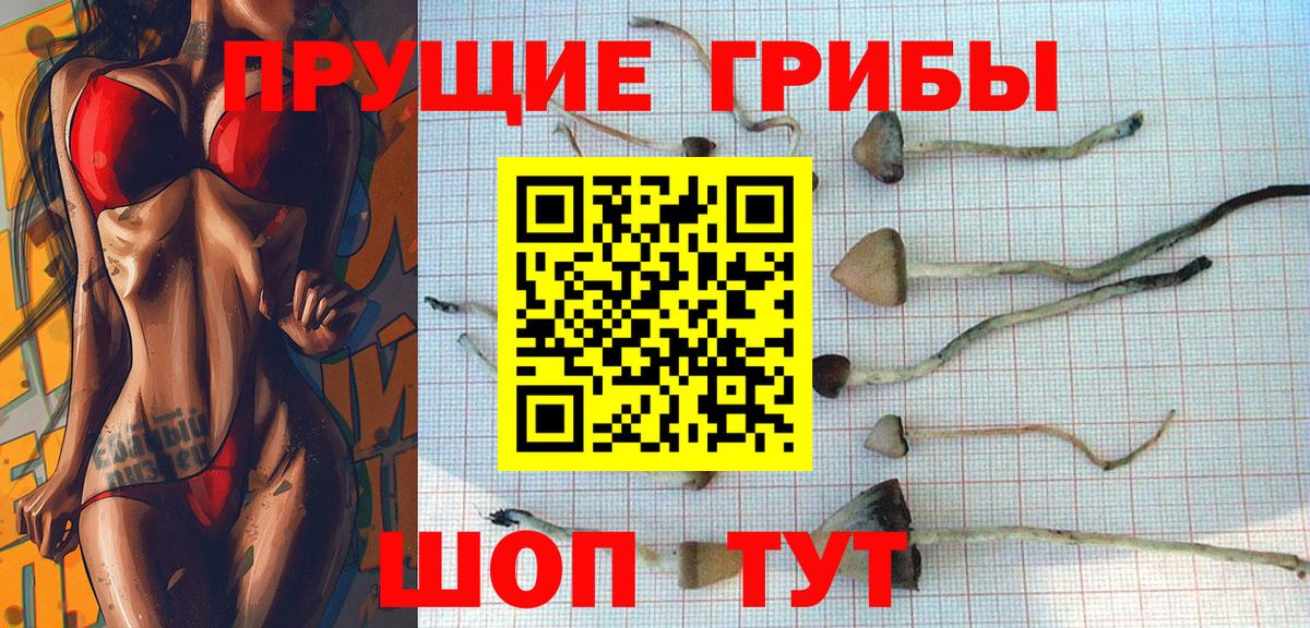 Псилоцибиновые грибы Psilocybine cubensis Усть-Лабинск