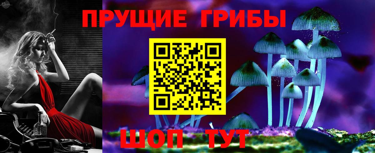 Галлюциногенные грибы мицелий  Галлюциногенные грибы Cubensis  Усть-Лабинск 