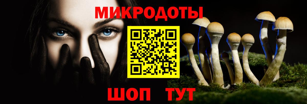 Псилоцибиновые грибы прущие грибы  Вход с VPN  Усть-Лабинск 